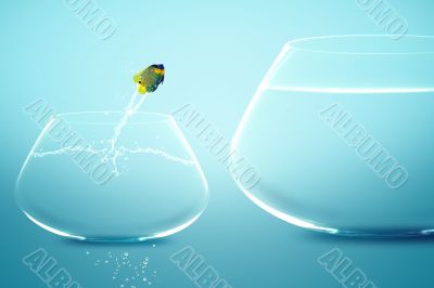Anglefish jumping into bigger fishbowl Anglefish jumping into bigger fishbowl