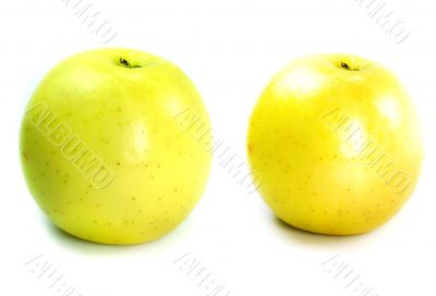 Yellow apple Yellow apple