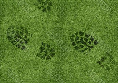 Shoe print on green grassland