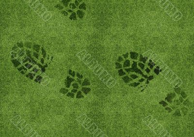Shoe print on green grassland Shoe print on green grassland