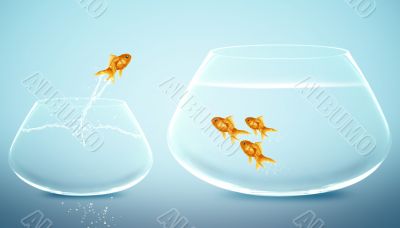 goldfish jumping into bigger fishbowl