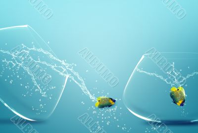 angelfish jumping out of  fishbowl