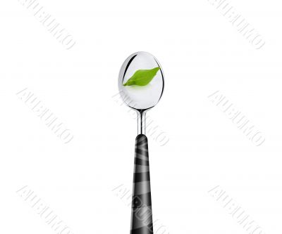 green leaf and spoon 