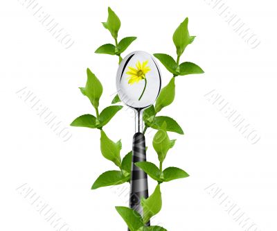 medical concept medical concept