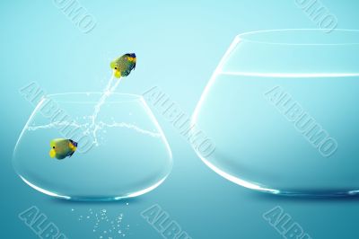 Anglefish in small fishbowl watching goldfish jump into large fi