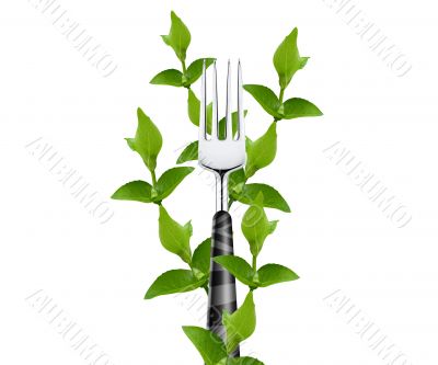 green leaves around fork green leaves around fork
