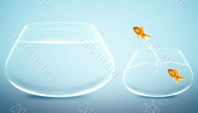 goldfish  jumping to Big bowl