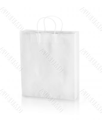 Paper shopping bag