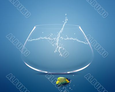 angelfish jumping out of  fishbowl