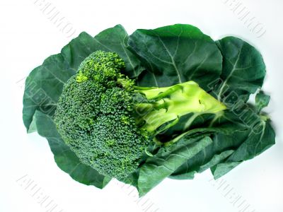 broccoli and Leaf 