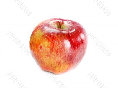 red apple