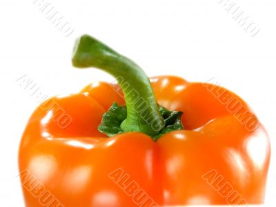 Orange bell pepper 