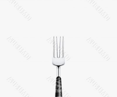 Fork