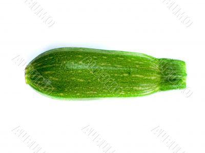 fresh zucchini