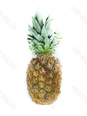 Fresh pineapple