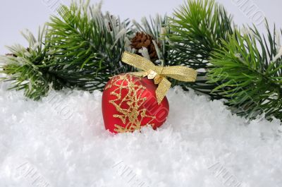 New toy in the snow against the backdrop of pine branches