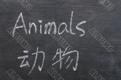 Animals - word written on a smudged blackboard