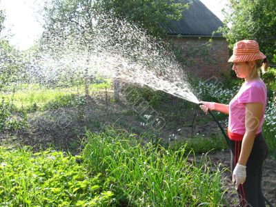 The girl watering a kitchen garden
