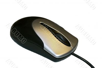 Black and white computer mouse isolated on the white background