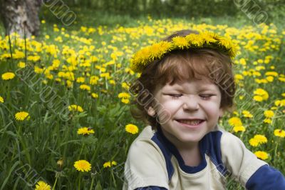 Wreath of dandelions