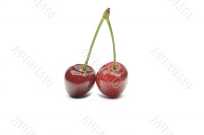 Berry juicy cherries