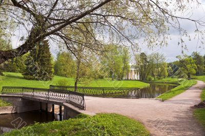 Spring in the park Spring in the park