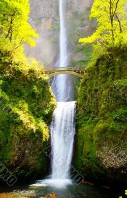 Multnomah falls and bridge in the morning sun light Multnomah falls and bridge in the morning sun light