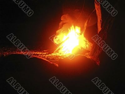 Summer night and young woman near the bonfire