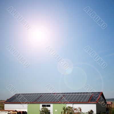 solar plants in the house during sunny weather