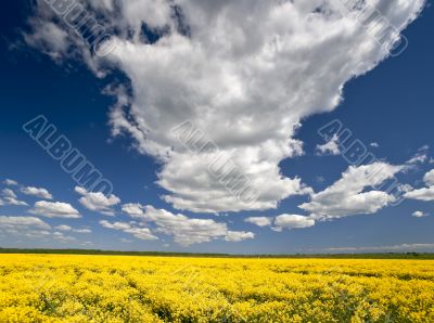 Cloudscape