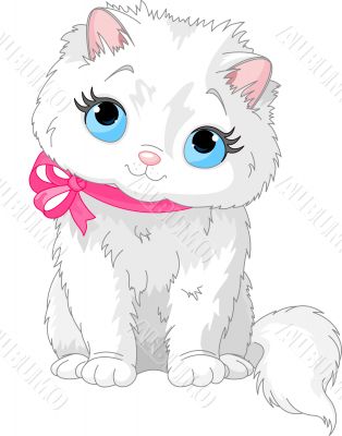 Cute white cat