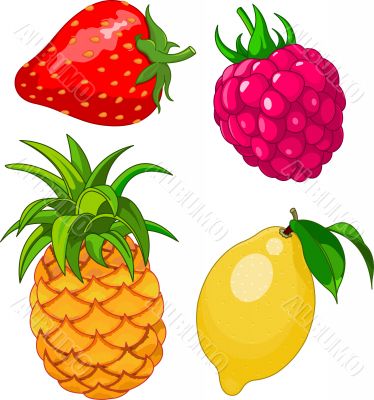 Cartoon fruit set