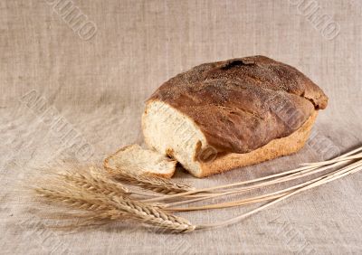 Wheat bread on canvas