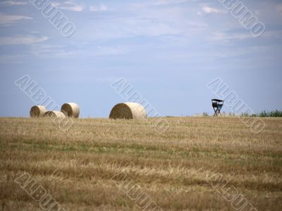 Straw bales and high seat