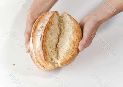 Baker`s hands with broken white bread