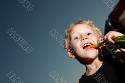 Young boy munching a carrot