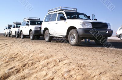 white jeeps