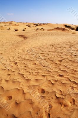 Sand in the desert Sand in the desert