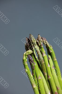 Bunch of fresh asparagus spears