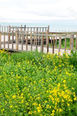 Wooden fence in the grassland