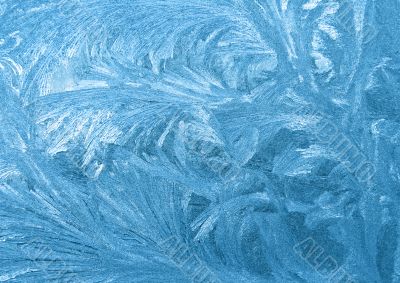 Frozen window Frozen window