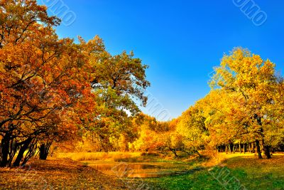 Autumn forest and a small lake