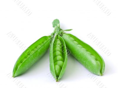 Isolated Peas Isolated Peas