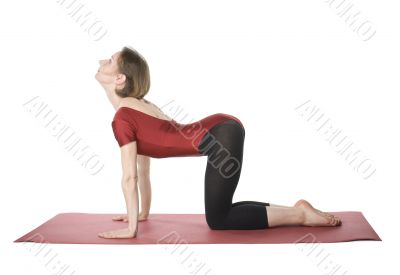 Exercising woman Exercising woman