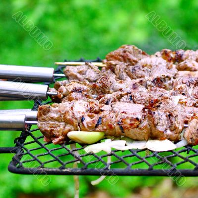 Barbecue meat on grill