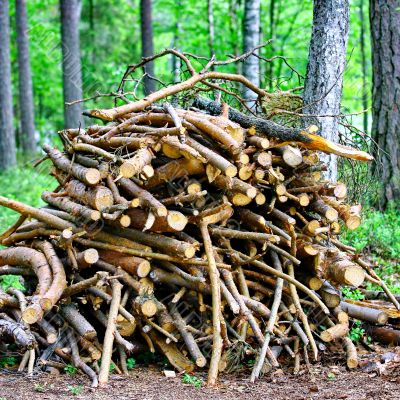 Firewood