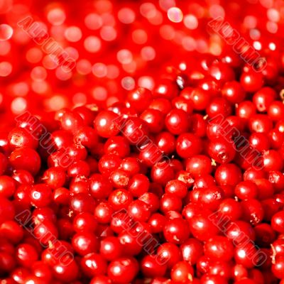 Cranberries