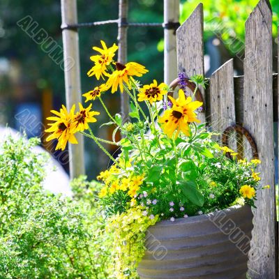 Yellow Flowers