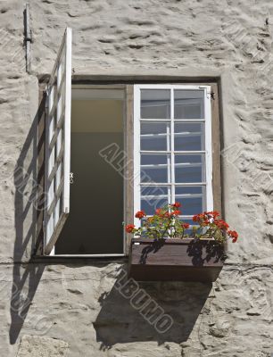 Window with flowers Window with flowers