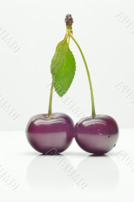Cherries with leaves on white background Cherries with leaves on white background